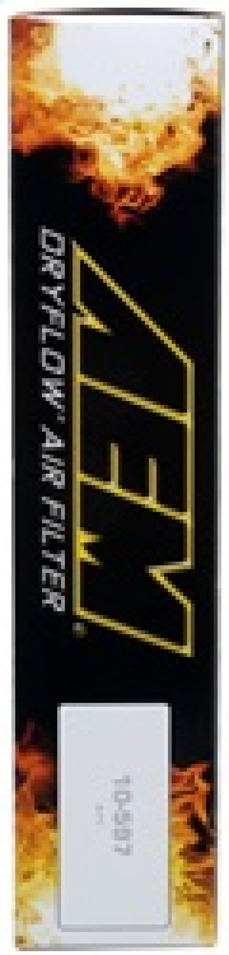 AEM Induction AEM 08 Nissan Sentra 2.5L DryFlow Air Filter 28-20409