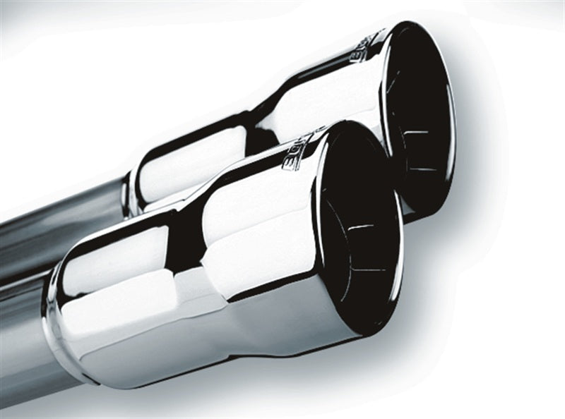 Borla Universal Polished Tip Dual Round Rolled Angle-Cut (inlet 2in. Outlet 3in) *NO Returns* 20143