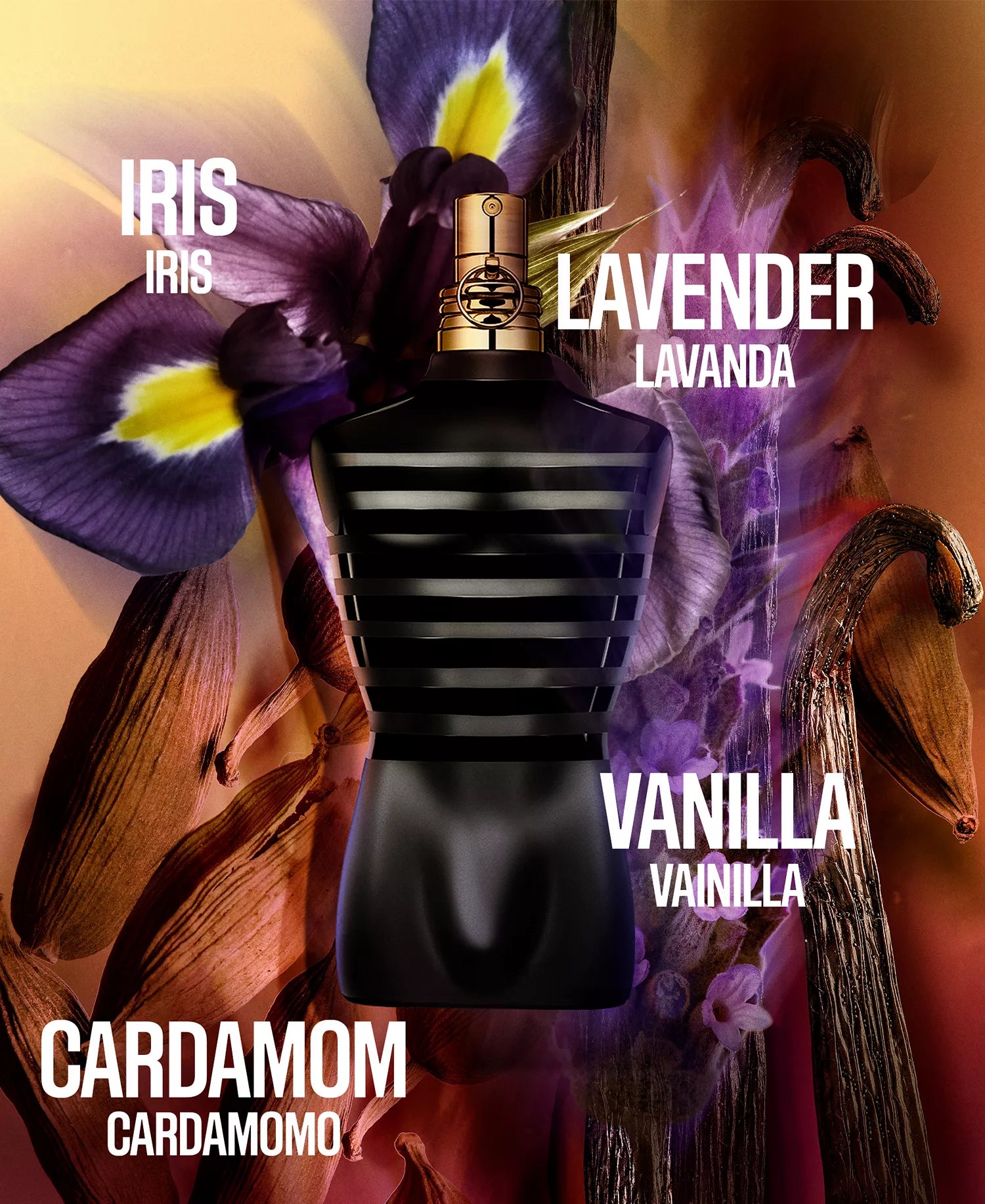 Jean Paul Gaultier Men's Le Male Le Parfum Eau de Parfum Spray 2.5 oz.