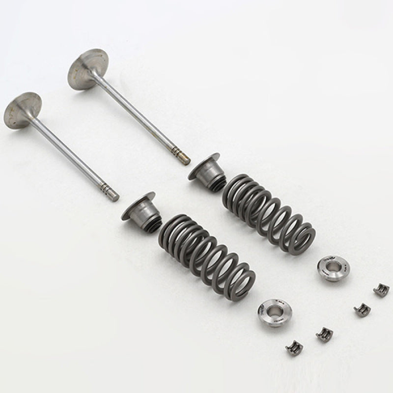 Ford Racing 5.2L Cylinder Head Valve Train Kit M-6505-FP350S