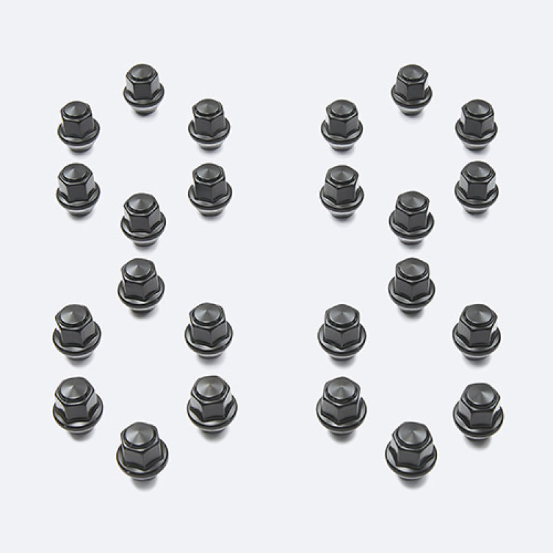 Ford Racing M12 x 1.5 Black Lug Nut - Set of 24 M-1012K-BR