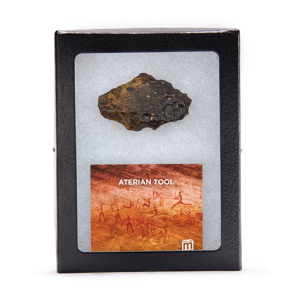 Aterian Tools