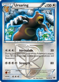 Ursaring (76/101) [Black & White: Plasma Blast]