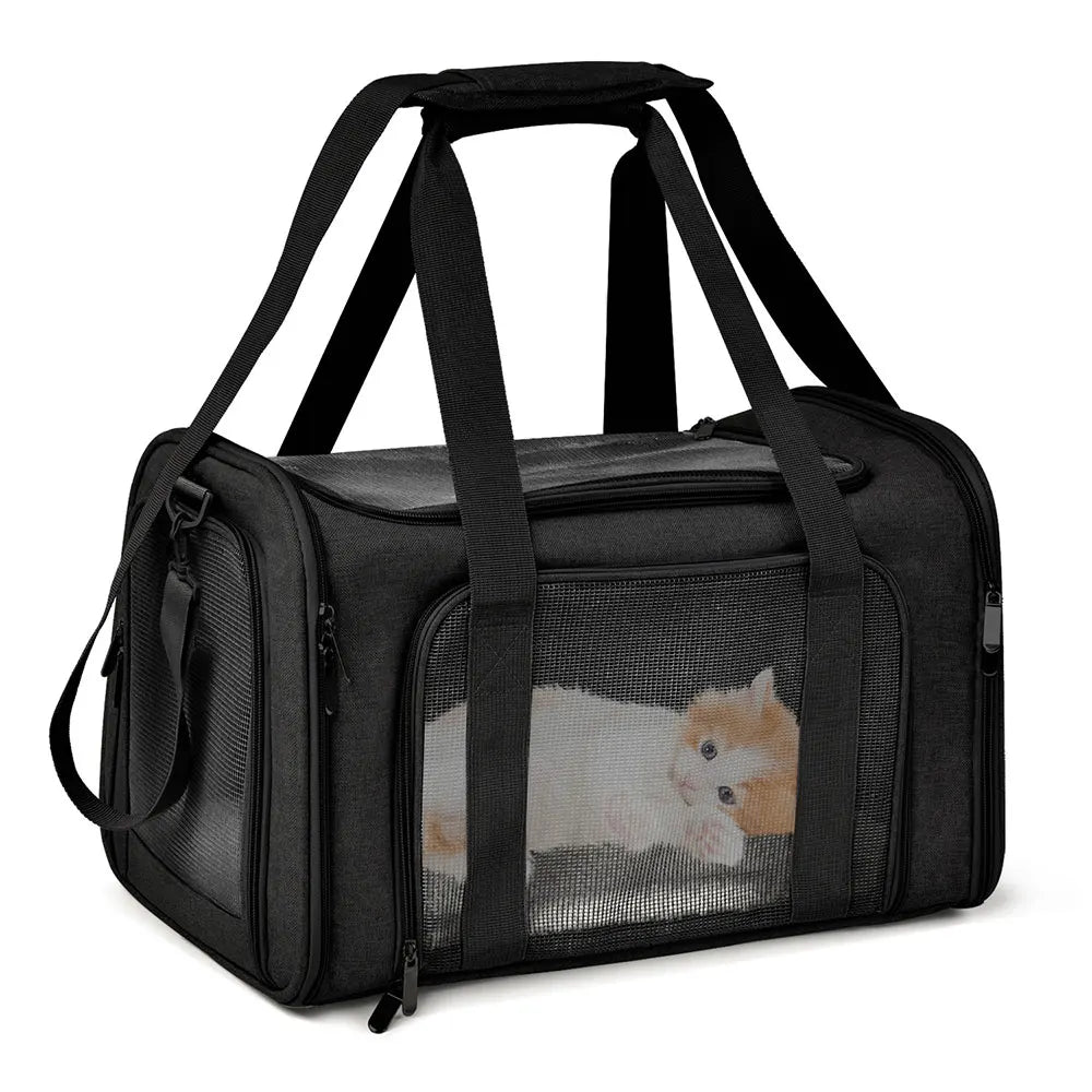 Airline - Approved Soft - Side Pet Carrier Backpack for Small Dogs & Cats — M (44×28×28 cm / 17.3×11×11 in) & L (50×34×34 cm / 19.7×13.4×13.4 in), Up to 12 kg (26.5 lb) - PhishStones Products