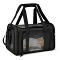 Airline - Approved Soft - Side Pet Carrier Backpack for Small Dogs & Cats — M (44×28×28 cm / 17.3×11×11 in) & L (50×34×34 cm / 19.7×13.4×13.4 in), Up to 12 kg (26.5 lb) - PhishStones Products