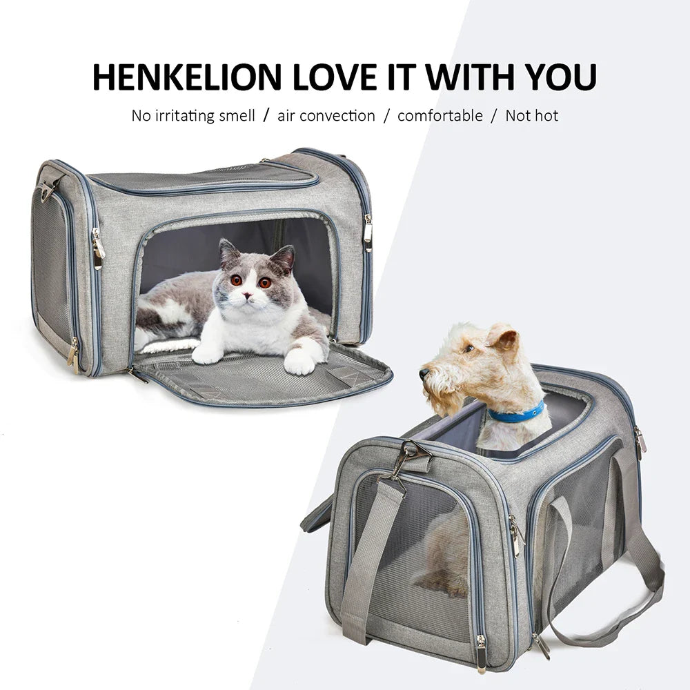 Airline - Approved Soft - Side Pet Carrier Backpack for Small Dogs & Cats — M (44×28×28 cm / 17.3×11×11 in) & L (50×34×34 cm / 19.7×13.4×13.4 in), Up to 12 kg (26.5 lb) - PhishStones Products