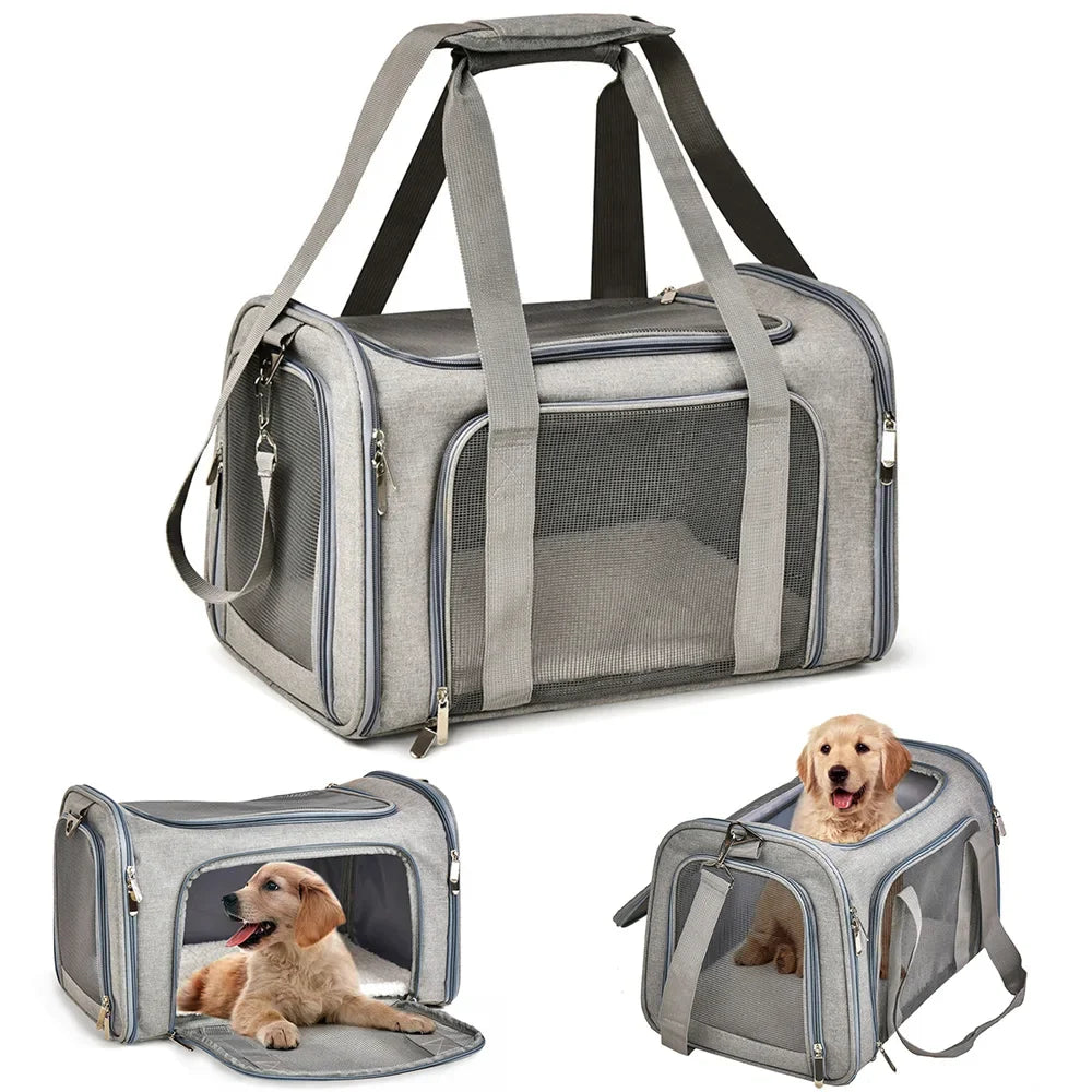 Airline - Approved Soft - Side Pet Carrier Backpack for Small Dogs & Cats — M (44×28×28 cm / 17.3×11×11 in) & L (50×34×34 cm / 19.7×13.4×13.4 in), Up to 12 kg (26.5 lb) - PhishStones Products