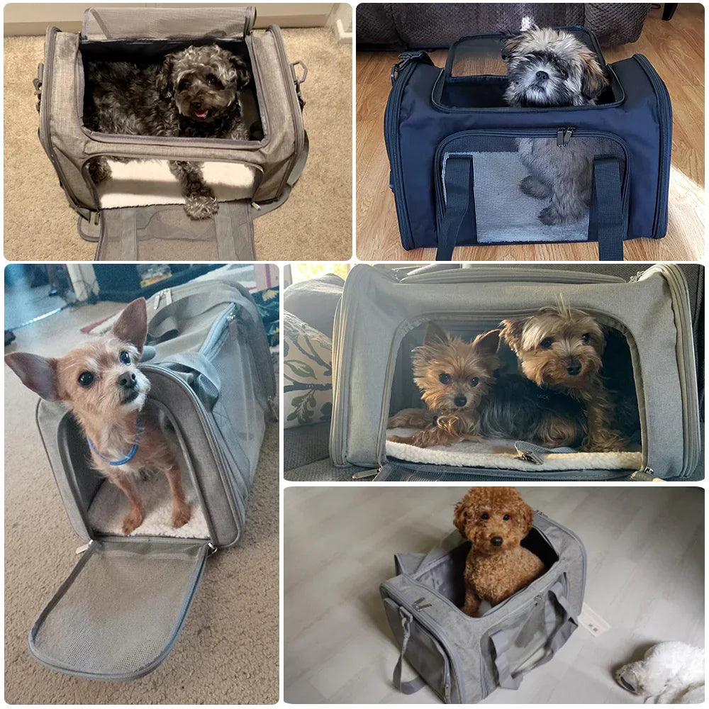 Airline - Approved Soft - Side Pet Carrier Backpack for Small Dogs & Cats — M (44×28×28 cm / 17.3×11×11 in) & L (50×34×34 cm / 19.7×13.4×13.4 in), Up to 12 kg (26.5 lb) - PhishStones Products