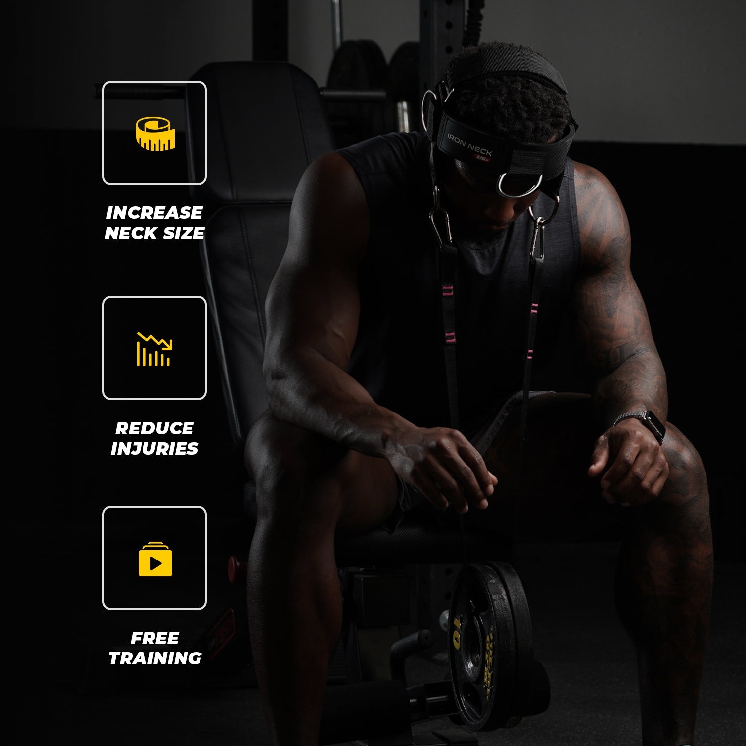 Alpha Harness Plus - PhishStones Products