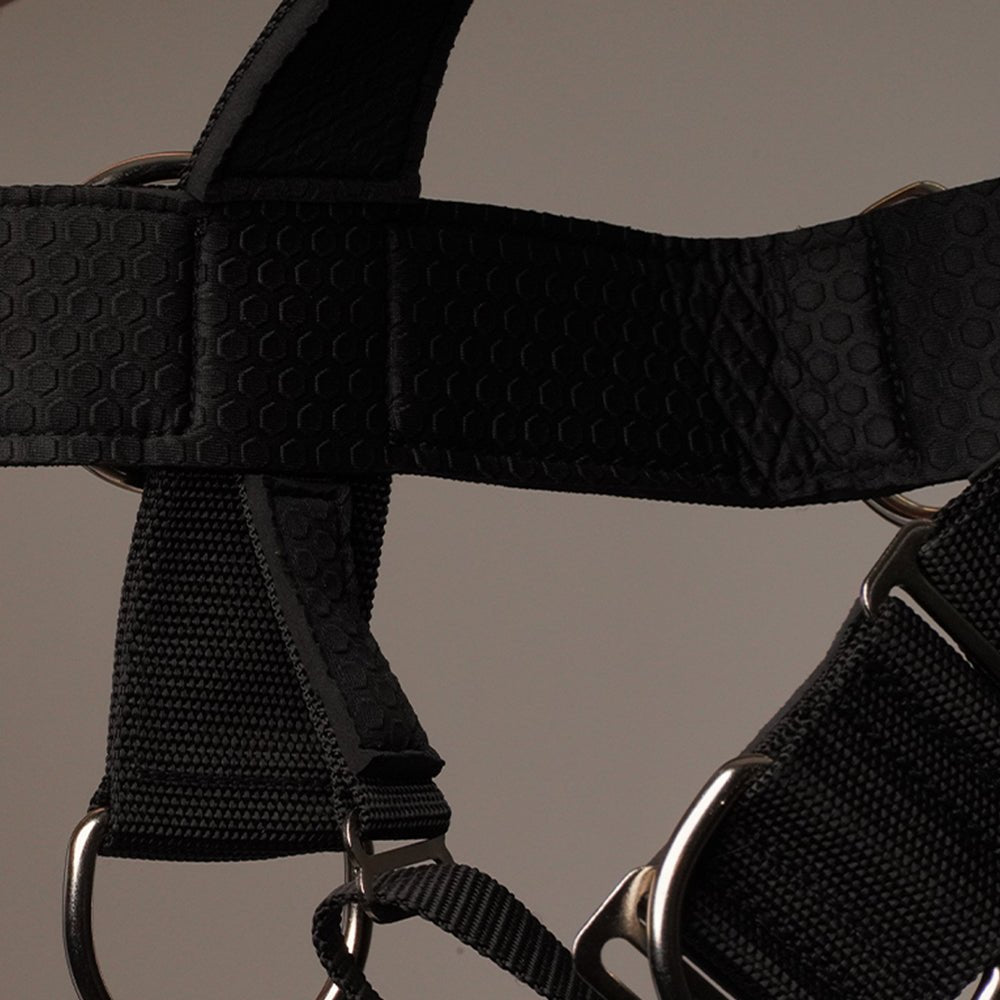Alpha Harness Plus - PhishStones Products