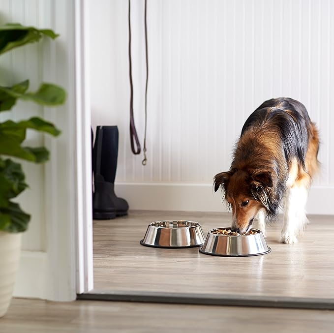 Amazon Basics Stainless Steel Non - Skid Pet Dog Water And Food Bowl, 2 - Pack (10 x 2.8 Inches), Each Holds Up to 4 Cups - PhishStones Products