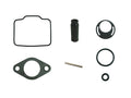 Briggs & Stratton LO206 Carburetor Rebuild Kit (OEM #555605)