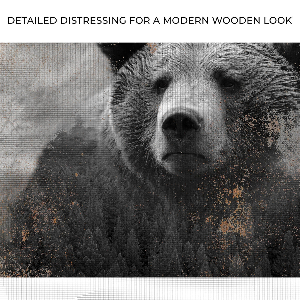 Animals Forest Bear Brown Canvas Wall Art - PhishStones Products
