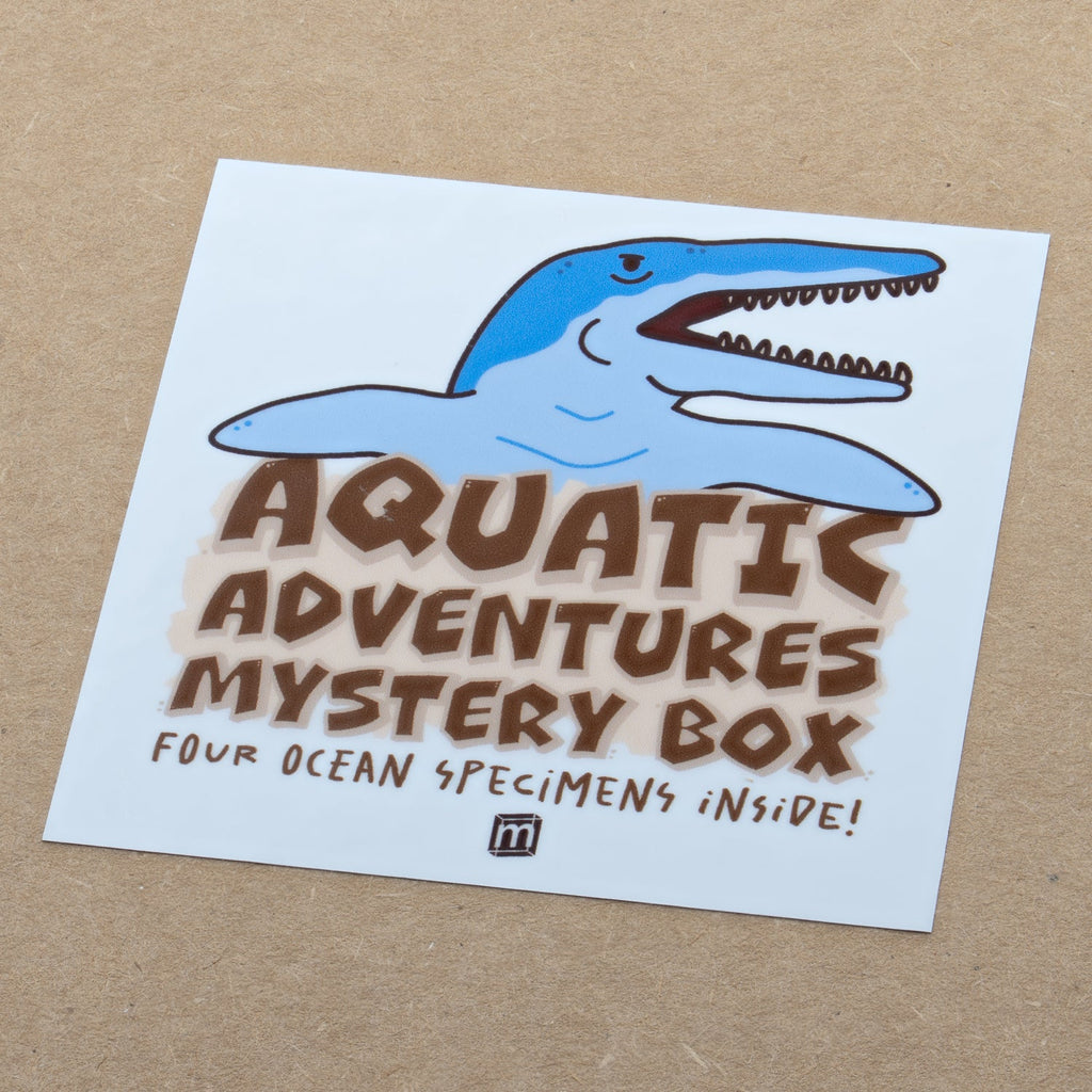 Aquatic Adventures Mini Museum Mystery Box - Series #1 - Ocean Fossils