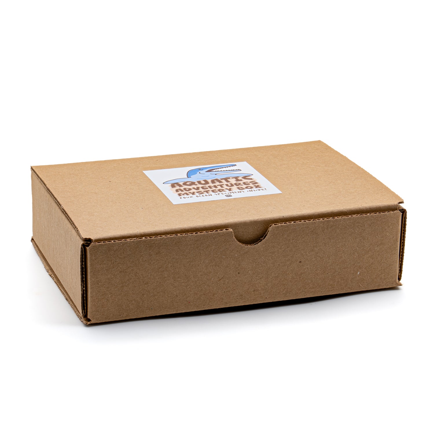 Aquatic Adventures Mini Museum Mystery Box - Series #1 - Ocean Fossils