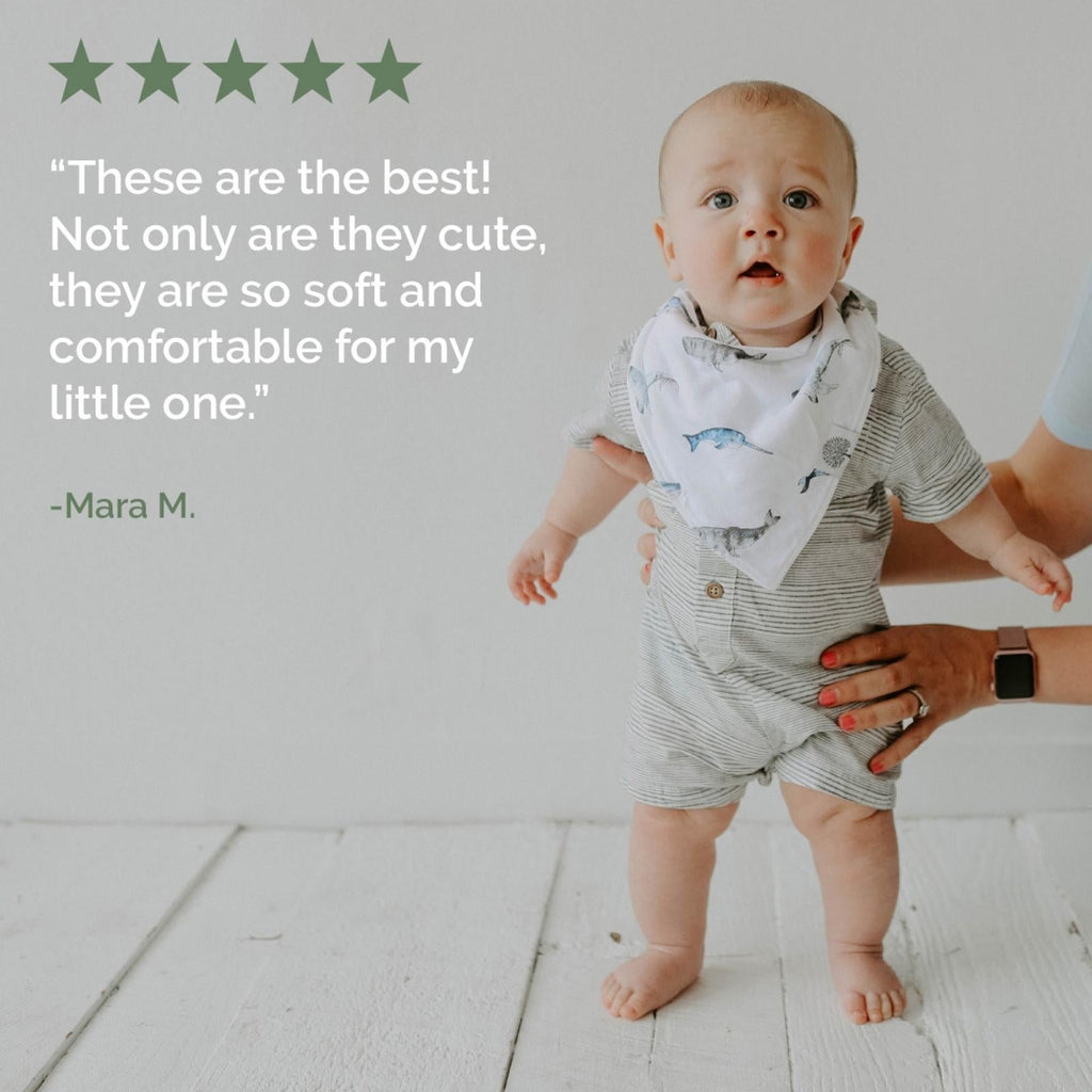Arctic Bandana Bib Set (8 pack) - PhishStones Products