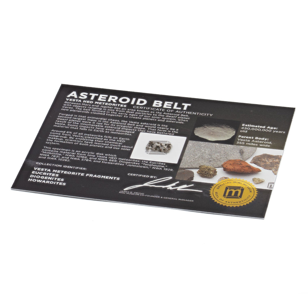 Asteroid Belt HED Meteorite Fragments - Display Card