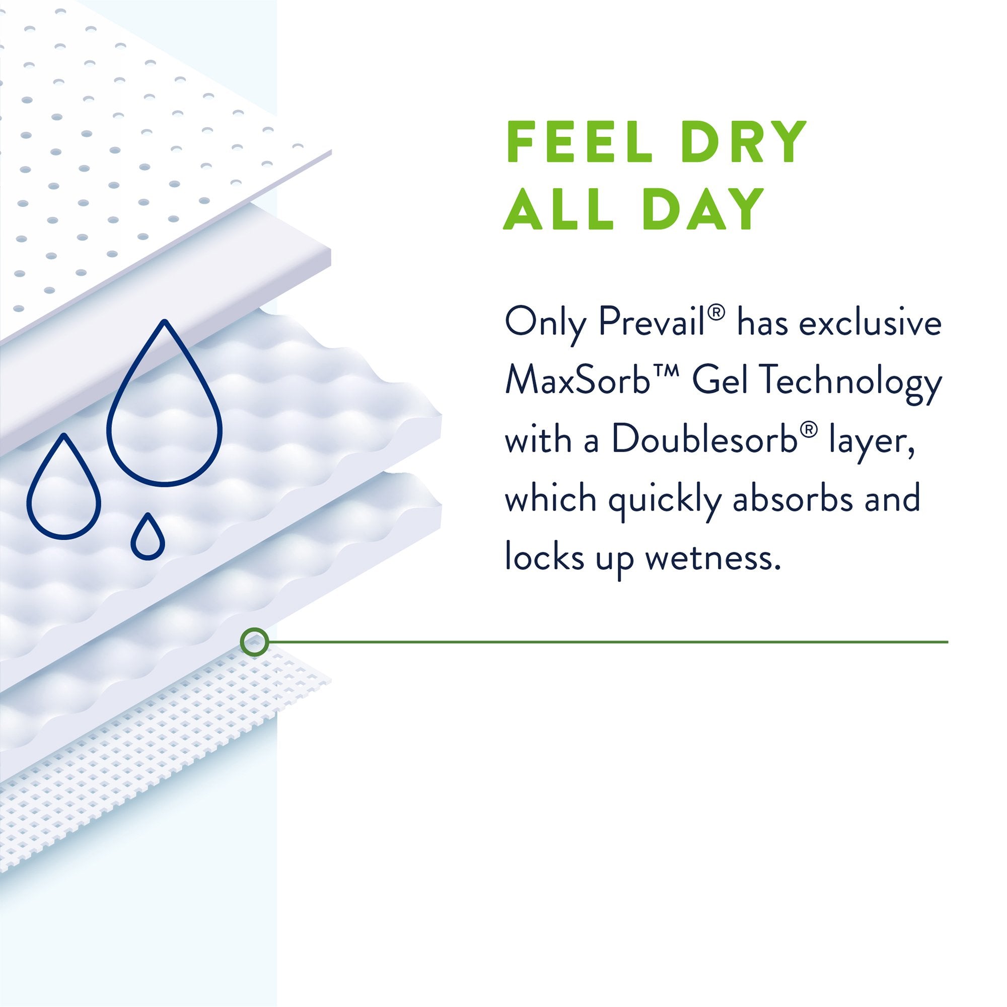 Prevail® Per-Fit 360°™ Daily Briefs, Maximum Plus, Large PFNG-013/1