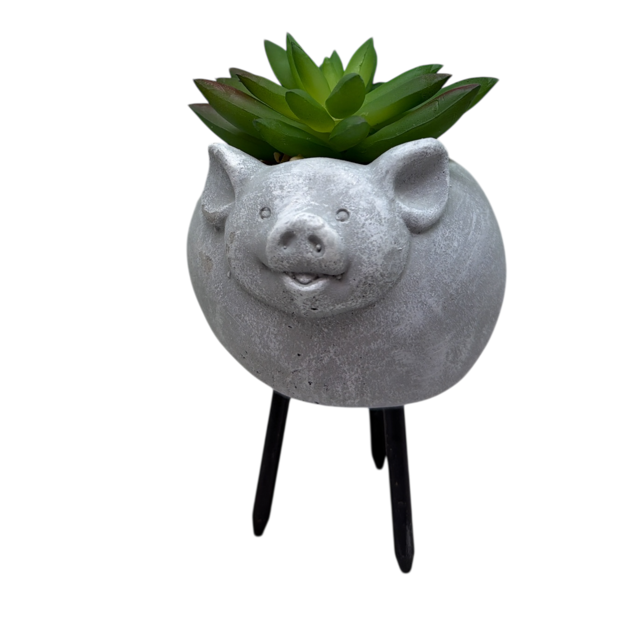 Faux Green Succulent In Planter - Pig