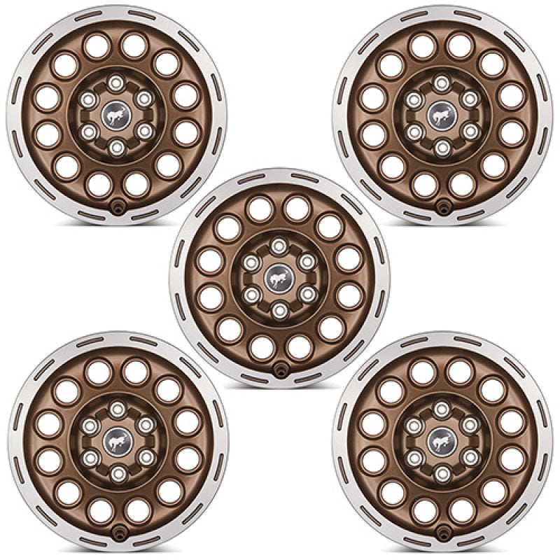 Ford Racing 21-23 Bronco 17x8.0 Wheel Kit -Sinister Bronze M-1007K-P1780BRN