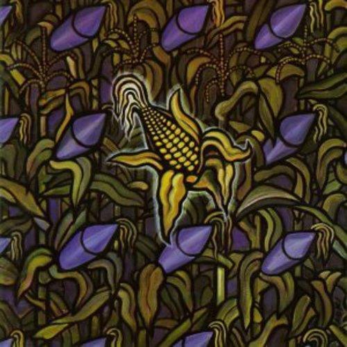 Bad Religion - Against The Grain (LP) - PhishStones Products
