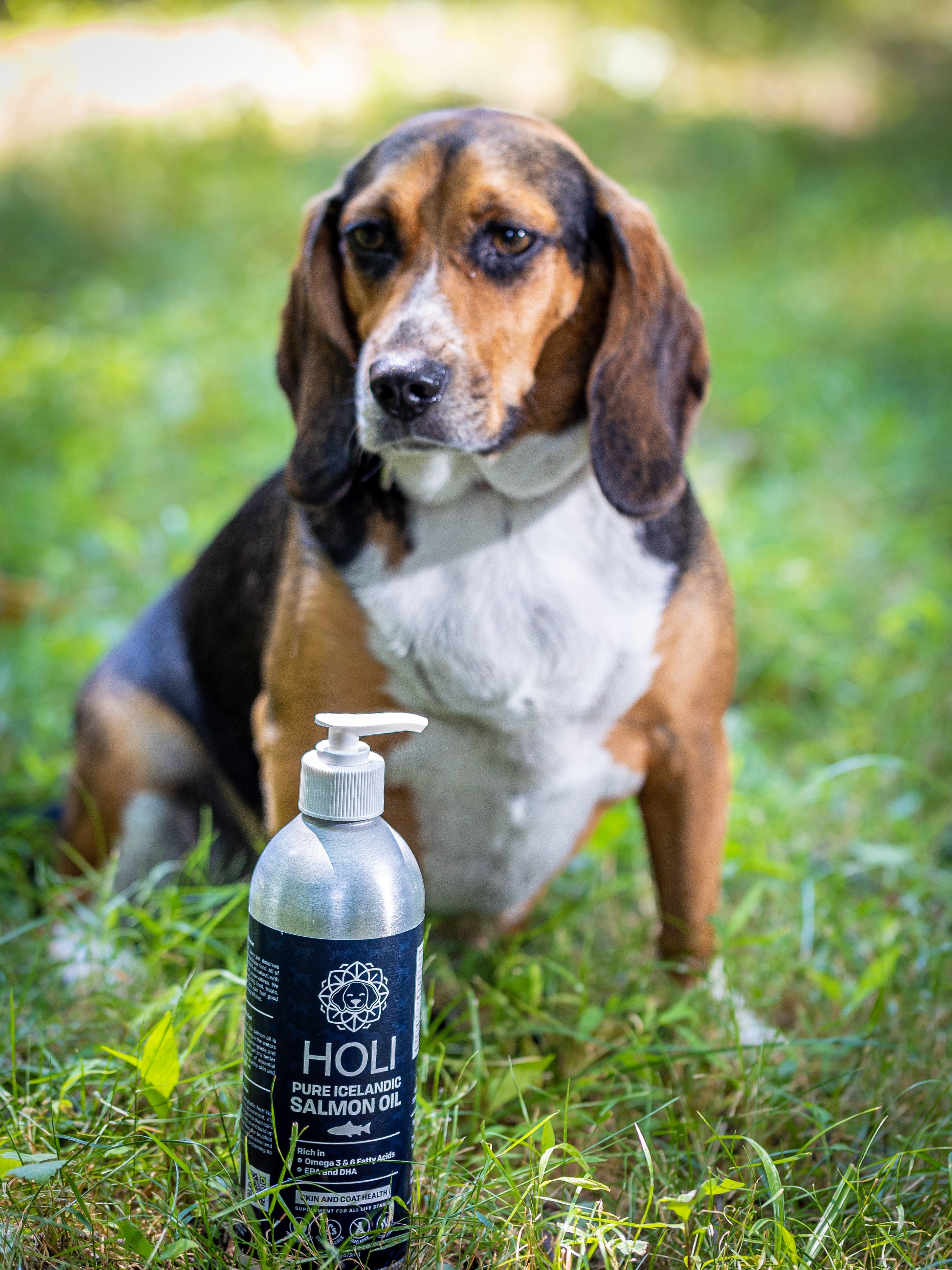 HOLI Icelandic Salmon Oil for Dogs | Extra Virgin