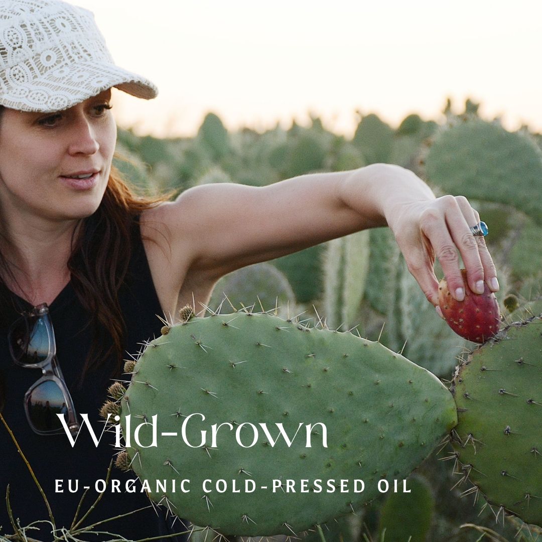 Barie | Prickly Pear Cactus Seed Oil - PhishStones Products