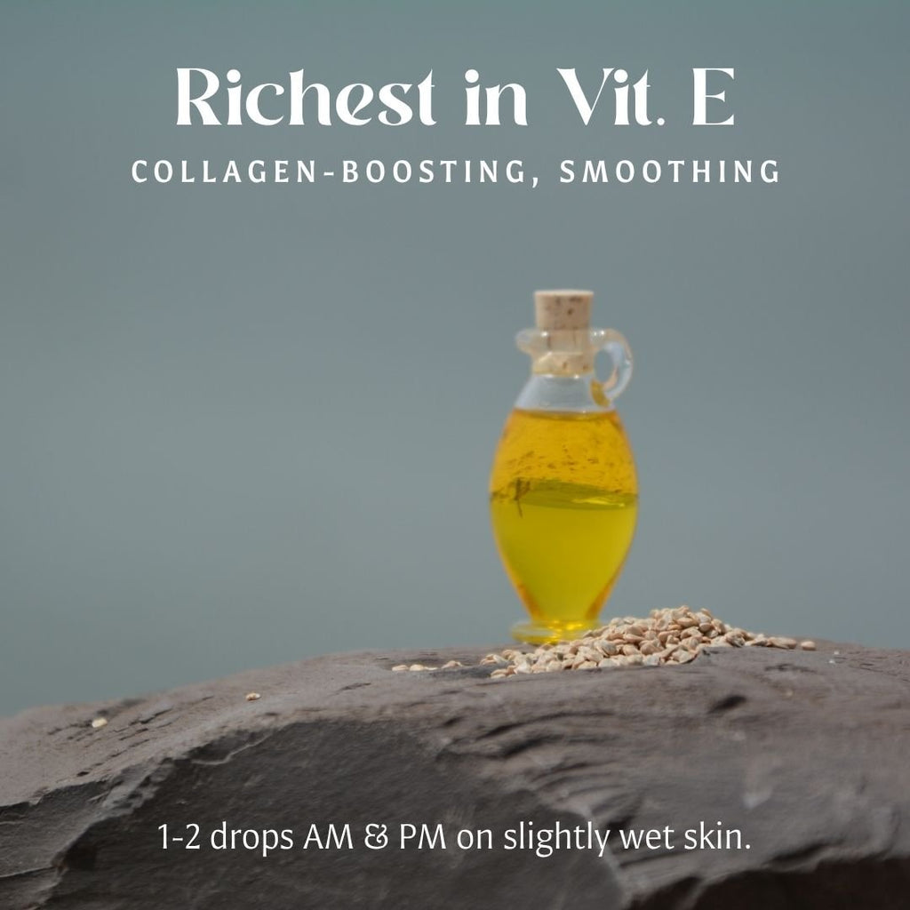 Barie | Prickly Pear Cactus Seed Oil - PhishStones Products