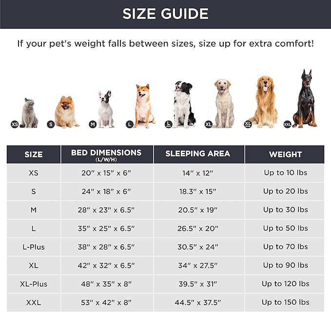 Bedsure Orthopedic Dog Beds for Small Dogs - Washable Small Dog Cat Bed Waterproof, Comfort Pet Couch Sofa with Washable Removable Cover, Pets Bed with Nonskid Bottom, Black, 24" - PhishStones Products