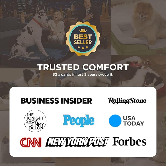 Bedsure Orthopedic Dog Beds for Small Dogs - Washable Small Dog Cat Bed Waterproof, Comfort Pet Couch Sofa with Washable Removable Cover, Pets Bed with Nonskid Bottom, Black, 24" - PhishStones Products