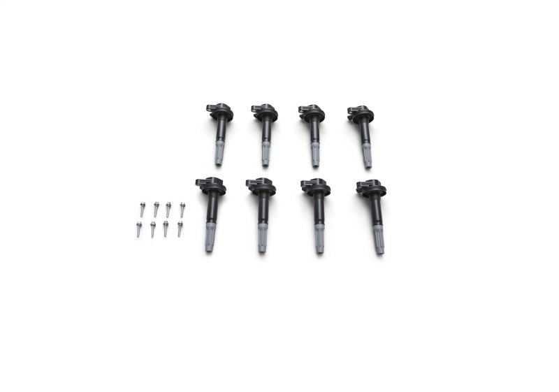 Ford Racing Boss 5.0L Block Plug & Dowel Kit M-6026-BOSS50