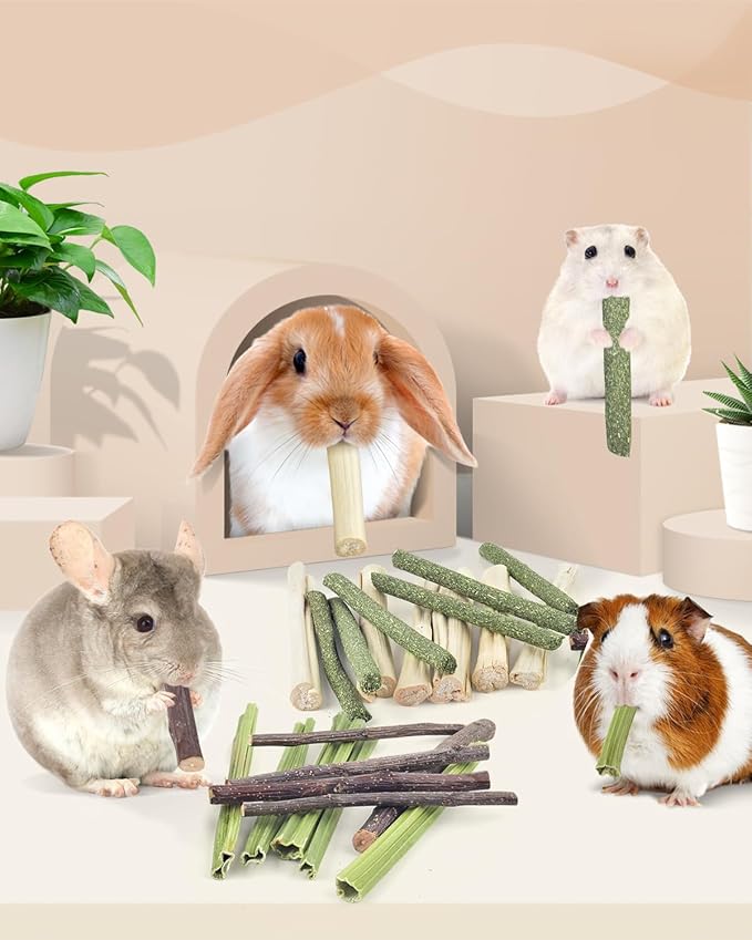Bissap 60 PCS Rabbit Chew Sticks, Sweet Bamboo Timothy Hay Chew Stick Papaya Stems Apple Branch Bunny Chews for Rabbit Hamster Chinchilla Guinea Pig Small Pet Natural Molar Treats - PhishStones Products