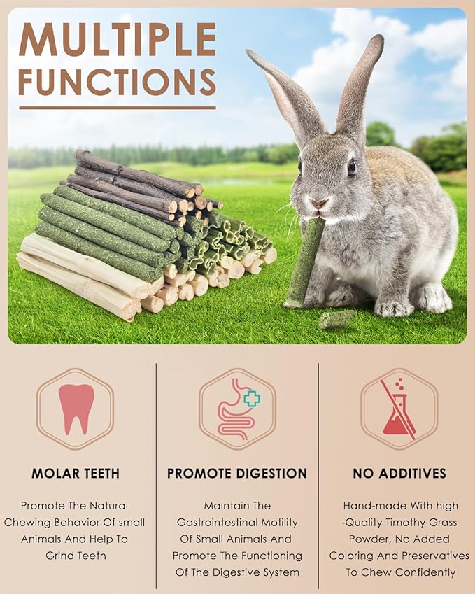 Bissap 60 PCS Rabbit Chew Sticks, Sweet Bamboo Timothy Hay Chew Stick Papaya Stems Apple Branch Bunny Chews for Rabbit Hamster Chinchilla Guinea Pig Small Pet Natural Molar Treats - PhishStones Products
