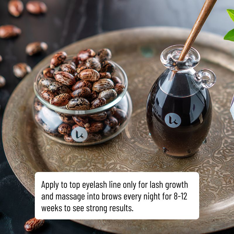 Black Castor Oil for Hair & Brows - PhishStones Products