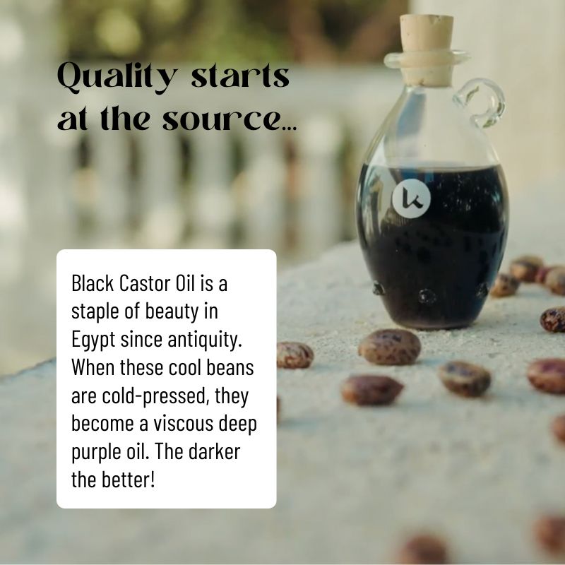 Black Castor Oil for Hair & Brows - PhishStones Products