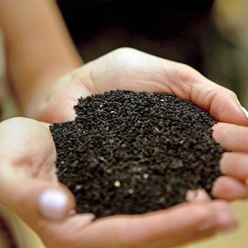 Black Seed Oil - Acne Fighting & Clear Skin - PhishStones Products