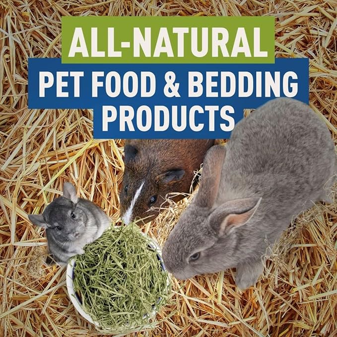 Blue Mountain Hay | Organic Bedding Straw (10 lb) | Natural Pet Bedding & Insulation for Rabbits, Guinea Pigs, Goats, Chickens, Stray & Feral Cats, and Small Animal Shelters - PhishStones Products