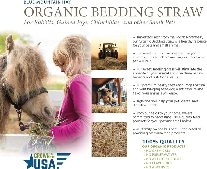 Blue Mountain Hay | Organic Bedding Straw (10 lb) | Natural Pet Bedding & Insulation for Rabbits, Guinea Pigs, Goats, Chickens, Stray & Feral Cats, and Small Animal Shelters - PhishStones Products