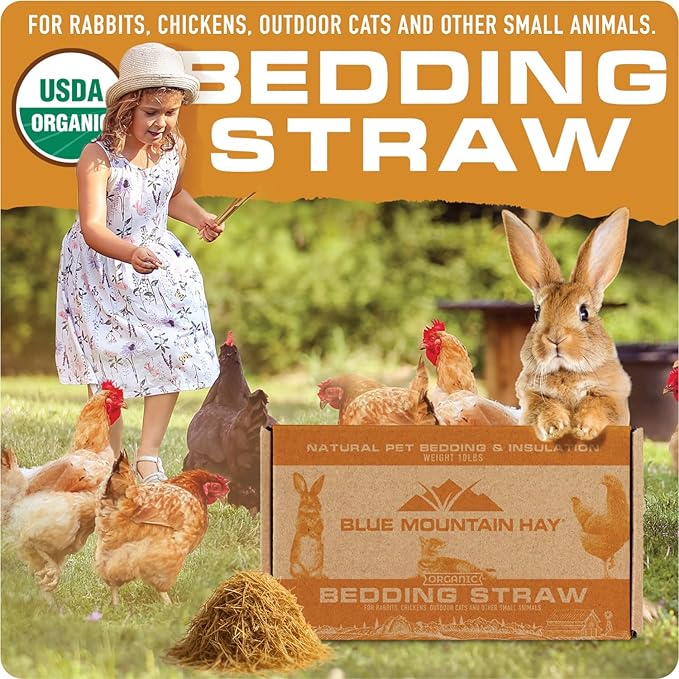 Blue Mountain Hay | Organic Bedding Straw (10 lb) | Natural Pet Bedding & Insulation for Rabbits, Guinea Pigs, Goats, Chickens, Stray & Feral Cats, and Small Animal Shelters - PhishStones Products