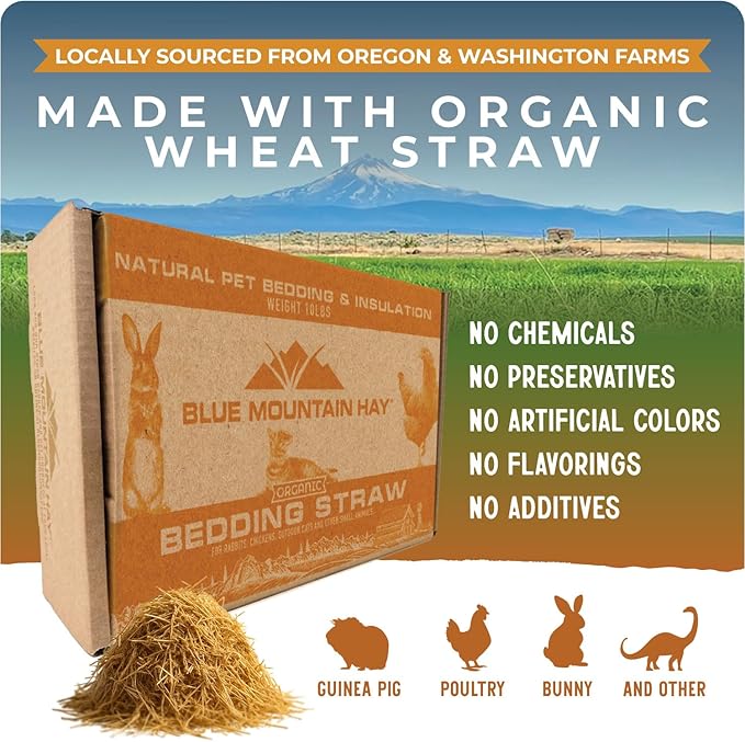 Blue Mountain Hay | Organic Bedding Straw (10 lb) | Natural Pet Bedding & Insulation for Rabbits, Guinea Pigs, Goats, Chickens, Stray & Feral Cats, and Small Animal Shelters - PhishStones Products