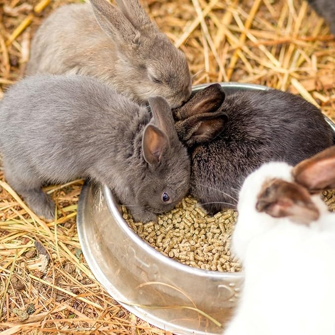 Blue Mountain Hay | Organic Bedding Straw (10 lb) | Natural Pet Bedding & Insulation for Rabbits, Guinea Pigs, Goats, Chickens, Stray & Feral Cats, and Small Animal Shelters - PhishStones Products