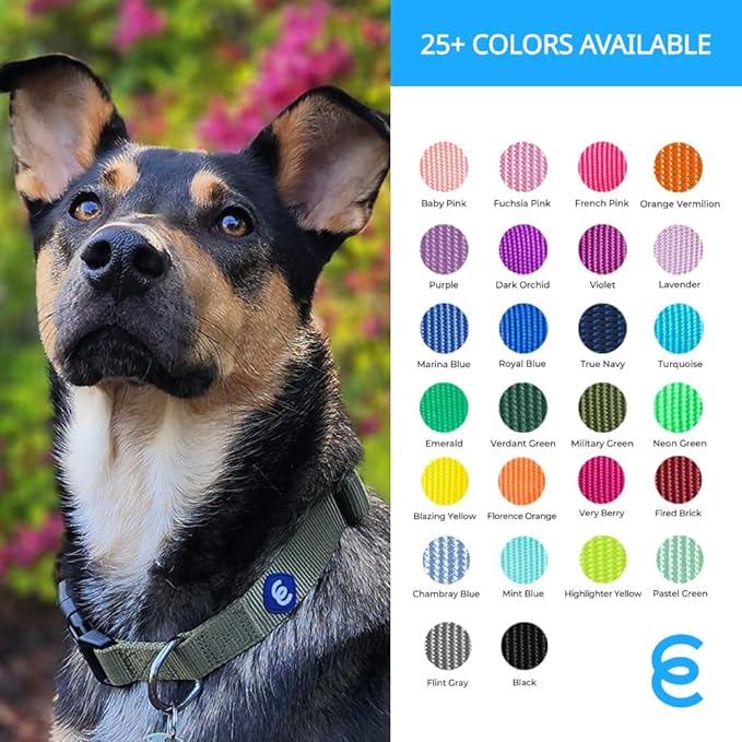 Blueberry Pet Essentials Dog Collar | Adjustable Nylon Dog Collar for Large Dogs | Classic True Navy Dog Collars for Small Dogs | Premium Pet Safety & Style with Secure Leash Attachment - PhishStones Products
