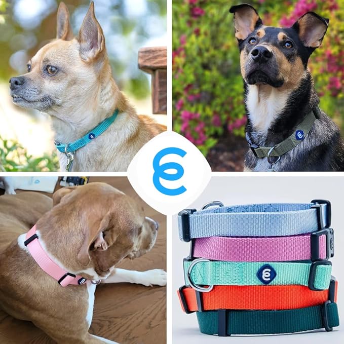 Blueberry Pet Essentials Dog Collar | Adjustable Nylon Dog Collar for Large Dogs | Classic True Navy Dog Collars for Small Dogs | Premium Pet Safety & Style with Secure Leash Attachment - PhishStones Products