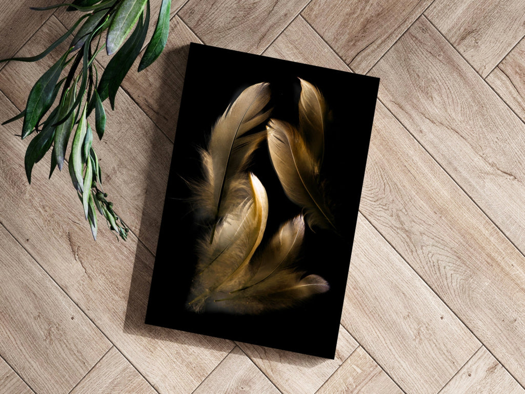 Golden Feather Cluster On Black Aluminum Print