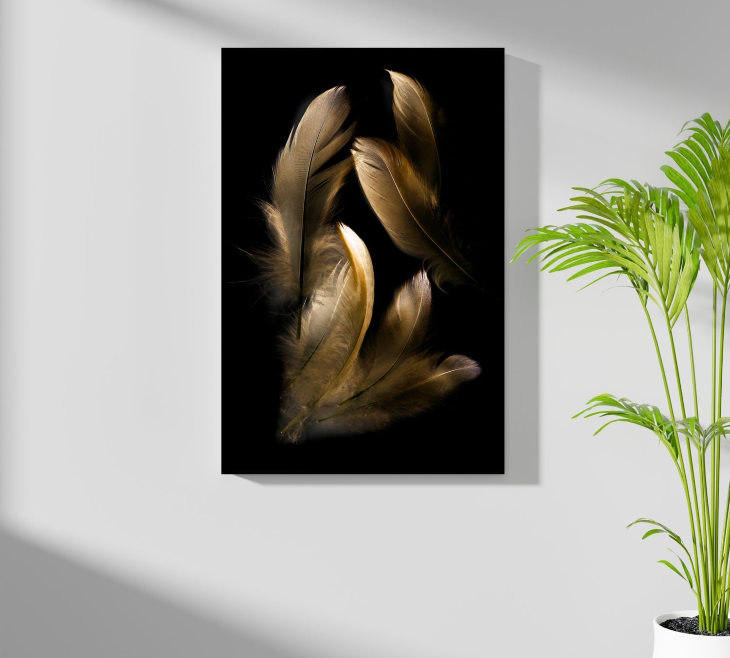 Golden Feather Cluster On Black Aluminum Print