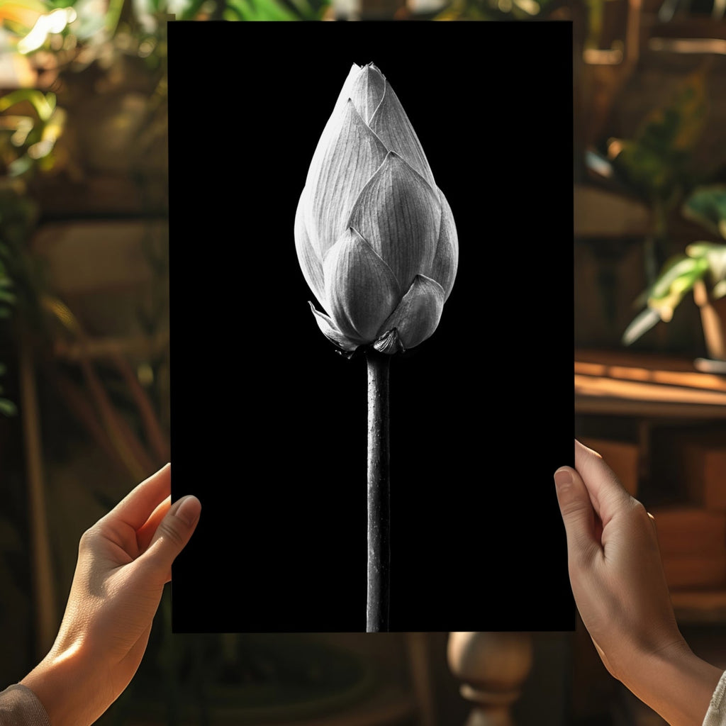 Black and White Lotus Bud Close Up Aluminum Print