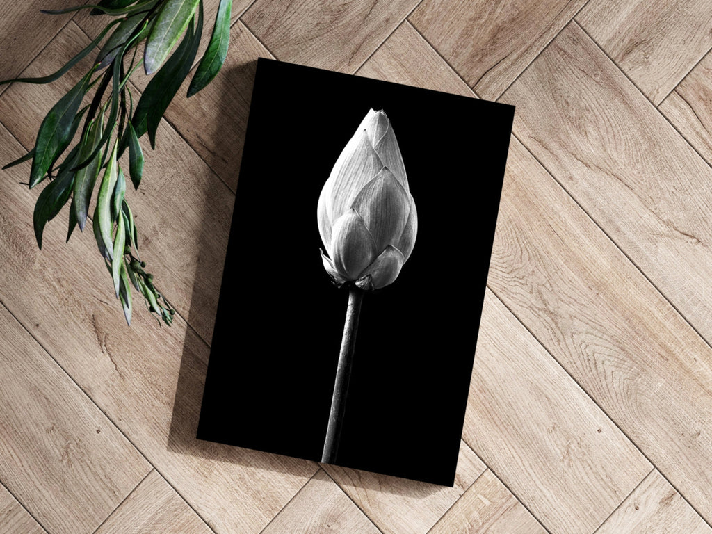 Black and White Lotus Bud Close Up Aluminum Print