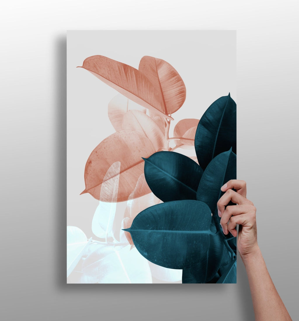 Peach and Teal Rubber Plant Leaves Aluminum Print