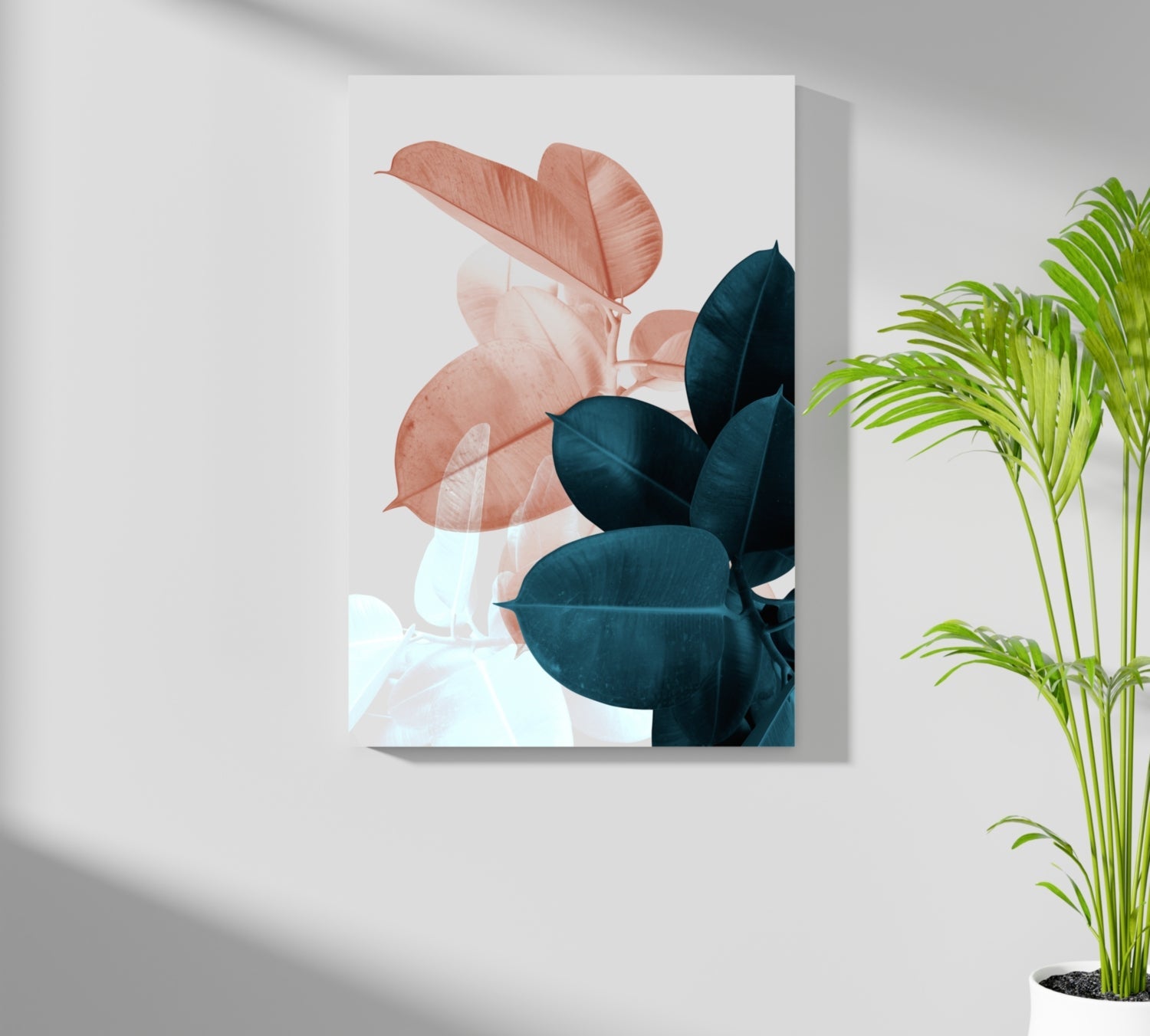 Peach and Teal Rubber Plant Leaves Aluminum Print