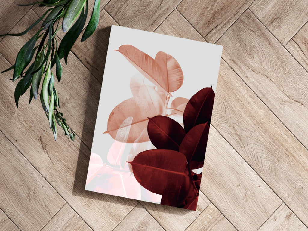 Blush and Burgundy Rubber Plant Leaves Aluminum Print